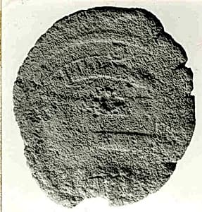Coin by Unknown Artist