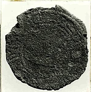Coin by Unknown Artist