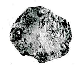 Coin by Unknown Artist