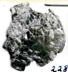 Coin by Unknown Artist
