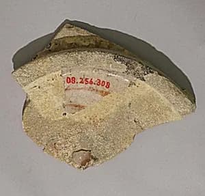 Fragment by Unknown Artist