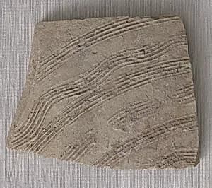 Fragment by Unknown Artist