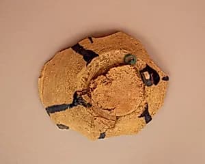 Fragment by Unknown Artist