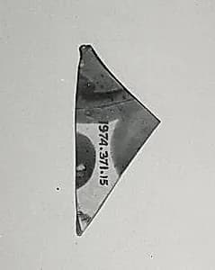 Fragment by Unknown Artist