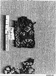 Fragment of a Band by Unknown Artist