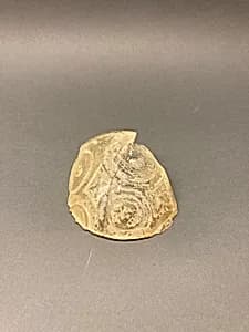 Fragment of a Beaker by Unknown Artist