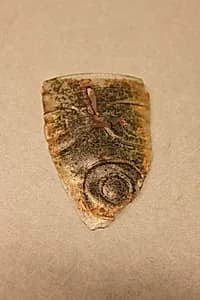 Fragment of a Beaker by Unknown Artist