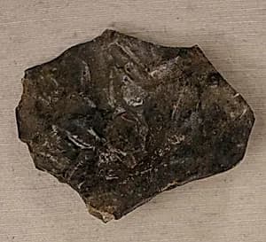 Fragment of a Bottle by Unknown Artist