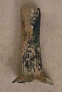 Fragment of a Bottle by Unknown Artist