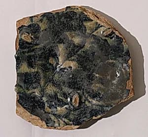 Fragment of a Bowl by Unknown Artist