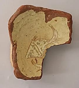 Fragment of a Bowl by Unknown Artist