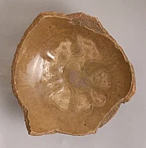 Fragment of a Bowl by Unknown Artist
