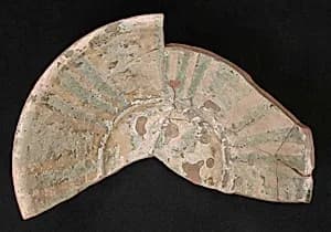 Fragment of a Bowl by Unknown Artist
