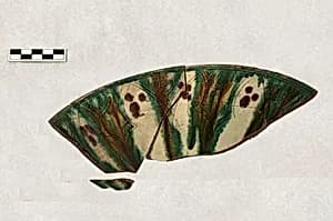 Fragment of a Bowl by Unknown Artist