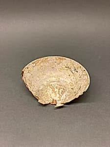 Fragment of a Bowl by Unknown Artist