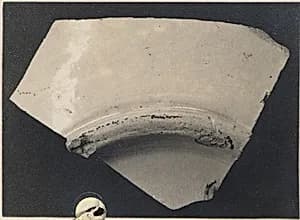 Fragment of a Bowl by Unknown Artist