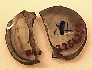 Fragment of a Cup by Unknown Artist