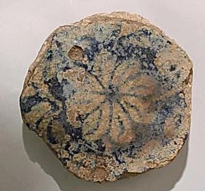 Fragment of a Dish by Unknown Artist
