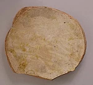 Fragment of a Dish by Unknown Artist