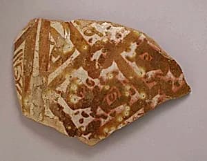 Fragment of a Dish by Unknown Artist