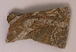 Fragment of a Dish by Unknown Artist