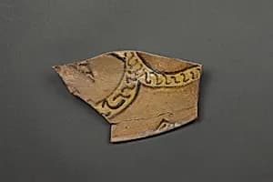 Fragment of a Dish by Unknown Artist