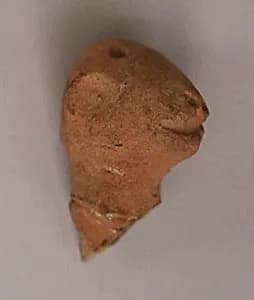 Fragment of a Figure by Unknown Artist