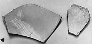 Fragment of a Porcelaneous Bowl by Unknown Artist