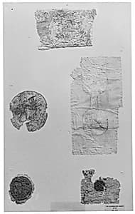Fragment of a Tunic by Unknown Artist