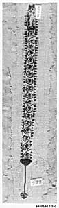 Fragment of a Tunic by Unknown Artist