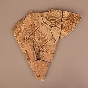Fragment of a Wall Painting by Unknown Artist