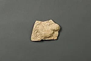 Fragment of an Ewer by Unknown Artist