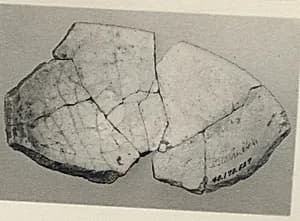 Fragment of Bowl by Unknown Artist