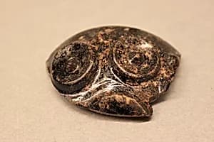 Fragment of Bowl by Unknown Artist