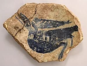 Fragment of Dish with Bird by Unknown Artist