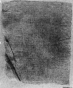Fragment of Turban Cloth by Unknown Artist