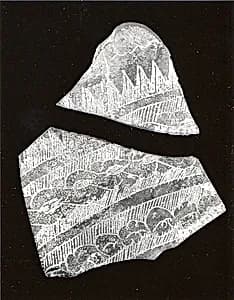 Fragments of a Dish by Unknown Artist