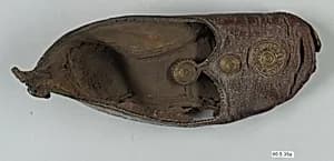 Leather Shoe with Gilded Medallions by Unknown Artist