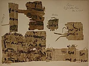 Papyrus Fragments by Unknown Artist