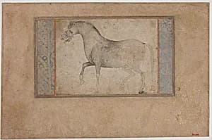 Portrait of a Stallion by Unknown Artist