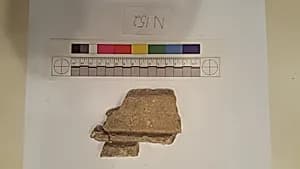 Stucco Fragment by Unknown Artist