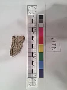 Stucco Fragment by Unknown Artist