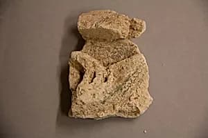 Stucco Fragment by Unknown Artist