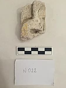 Stucco Fragment by Unknown Artist