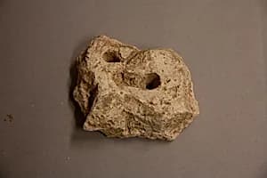 Stucco Fragment by Unknown Artist