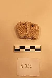 Stucco Fragment by Unknown Artist