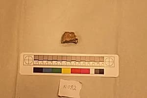 Stucco Fragment by Unknown Artist