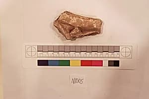 Stucco Fragment by Unknown Artist