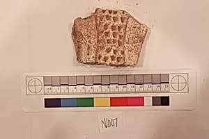 Stucco Fragment by Unknown Artist