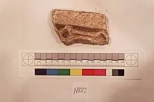 Stucco Fragment by Unknown Artist